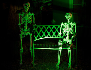 Two skeletons hanging out outside a house for Halloween