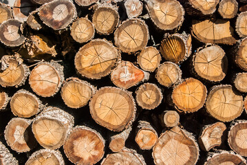 Old dry firewood stacked closeup as wooden background