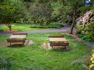 Garden Picnic Spot