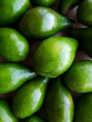 © Screen moment/Stocksy - Green avocado close up