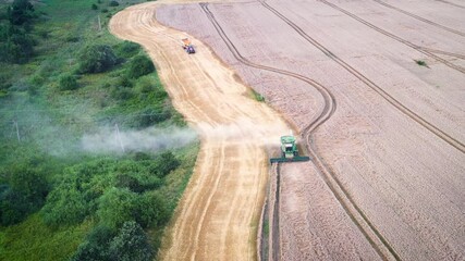 Wall Mural - Aerial video flying over harvesting wheat combine in summer field. Top view 4k UHD drone footage