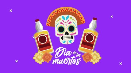 Canvas Print - dia de los muertos celebration with mariachi hat and tequila bottles