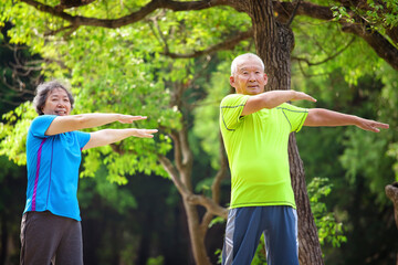 Wall Mural - Happy Senior  couple exercising in the nature park