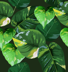 Wall Mural - Foliage Seamless Pattern