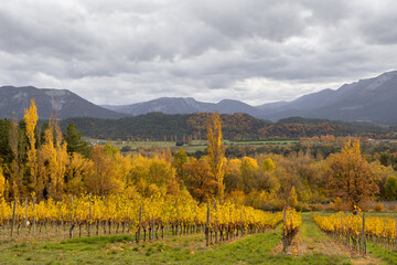 Wall Mural - landscape of the Diois with the colors of autumn, France 