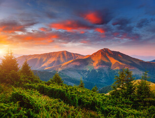 Sticker - Exotic landscape in the mountains at sunset. Picture of colorful cloudy sky.