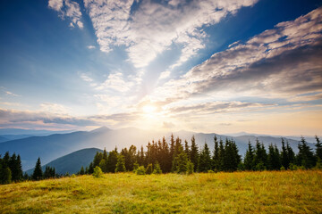 Fotomurali - Magnificent sunny day in tranquil mountain landscape. Perfect summertime wallpaper.