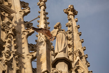 Detail of spires from the roof top of the Barcelona Cathedral