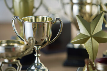 Poster - selective focus on one trophy with other trophies as background