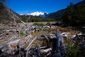 Sticker - Cauquenes River view with snowy top of Tronador volcano at distance in Argentina