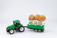 Harvesting A Large Crop Of Walnuts Using Agricultural Machinery