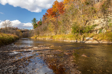 Wall Mural - Root River In Autumn - A scenic river next to a cliff.