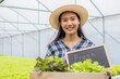 © khwanchai - organic hydroponic owner, woman and Asian man holding small blackboard with word fresh from farm with vegetables box, Butter head Lettuce salad plant