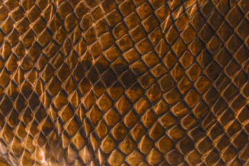 Wall Mural - snake skin - texture close up in the detail