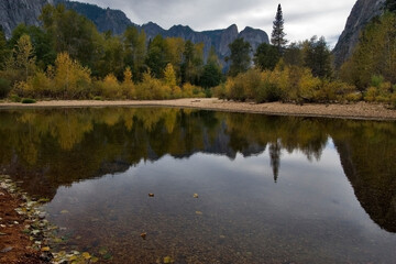 Wall Mural - Water mirror