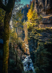 Wall Mural - Wandern in der Herbstsonne in der Breitachklamm in Oberstdorf, wunderbare Herbstfarben