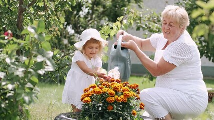 Wall Mural - Happy Grandparents Day. Happy Grandmother with her granddaughter working in the garden. Granmother is watering flowers and smiling. Family time.