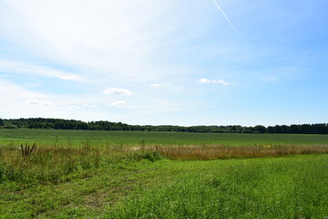 field and blue sky