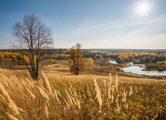 Wall Mural - panoramic autumn landscape of the river valley yellow, golden leaves and grass, sun rays.
