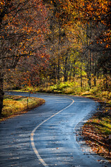 Wall Mural - Colorful yellow orange red foliage in autumn fall season on Fawn Ridge drive in Wintergreen Virginia with paved asphalt curvy winding road driving point of view