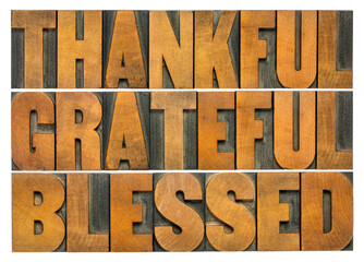 Wall Mural - thankful, grateful and blessed - isolated word abstract in vintage letterpress wood type, Thanksgiving theme and greeting card