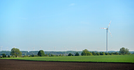 Wall Mural - green fields with wind power turbines, clear blue sky above
