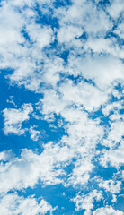 Wall Mural - Blue sky with puffy white clouds overhead