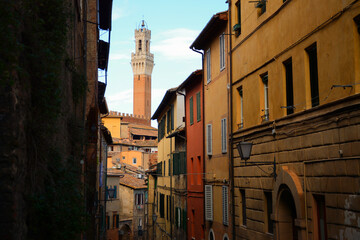 Siena tower in Tuscany, Italy. Red brick facade and blue sky. Winter time. 