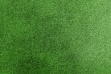 Green natural leather, close-up, isolated background for design