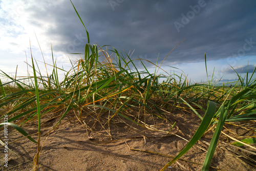 Fotografía Ayr Beach is located on the western coastline of Ayrshire in the south west of Scotland