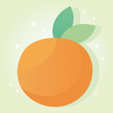 Fresh Orange Fruit Citrus, Grocery Purchases