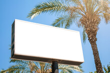 Empty Advertising Commercial Banner With Mockup Under Palm Tree