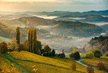 South Styria Vineyards Landscape, Tuscany Of Austria. Sunrise In Autumn.