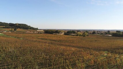 Wall Mural - Vignes de Saint-Émilion en Gironde, vue aérienne en automne