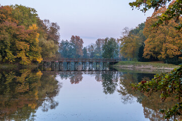  Autumn trees alley with colorful leaves in the park