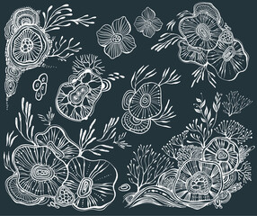 Wall Mural - Set of decorative floral elements for design