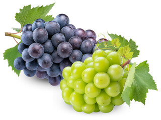 Wall Mural - sweet green grape and black grape isolated on white background, shine muscat grape and kyoho grape w