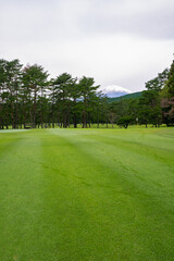 Wall Mural - Golf Course with beautiful green field. Golf course with a rich green turf beautiful scenery.