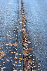 Fallen autumn leaves laying on a sidewalk and road