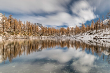 Autumn forest in the Alps mountains, Alpe Veglia and Devero natural park, Italy