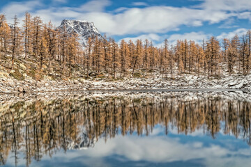 Sticker - Autumn forest at morning with reflections on the lake, Alps mountains, Piedmont, Italy