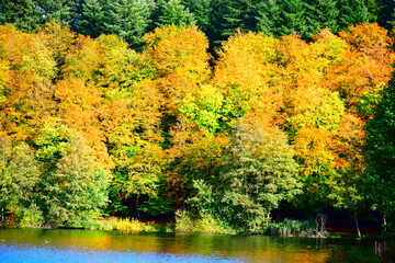 Canvas Print - Holzmaar im Eifelherbst