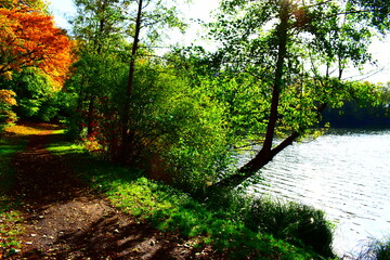 Wall Mural - ruhiges Holzmaar in der Eifel während des Herbst