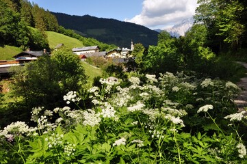 Canvas Print - Unterwegs in Ramsau im Berchtesgadener Land