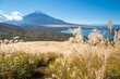 © Takaaki Ishida - 富士山とすすきの