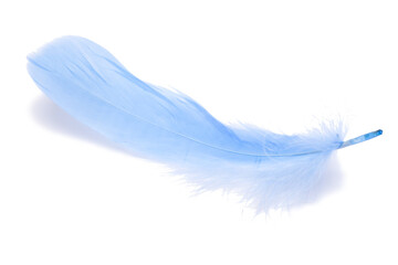 Blue fluffy feather isolated on the white