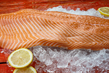 fresh large salmon fillet on ice with lemons on a red background macro photo
