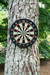 Poster - Vertical shot of a dartboard hanging on a tree in the park