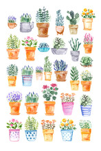 Flowers And Herbs In Ceramic Pots In Watercolor On A White Background. Italian Spices. Decor For Garden And Home.