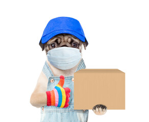Poster - Pug puppy wearing medical protective mask, red cap and overalls holds big box and shows thumbs up gesture. isolated on white background